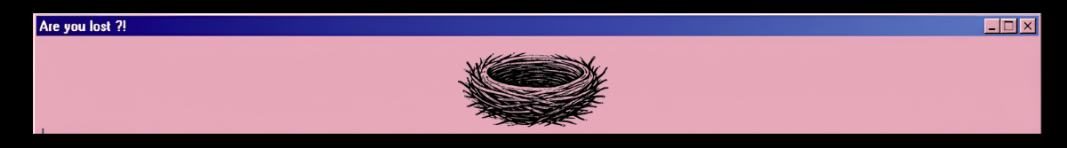 LOST NEST
